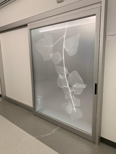 A hospital door with a leaf design on its window graphic