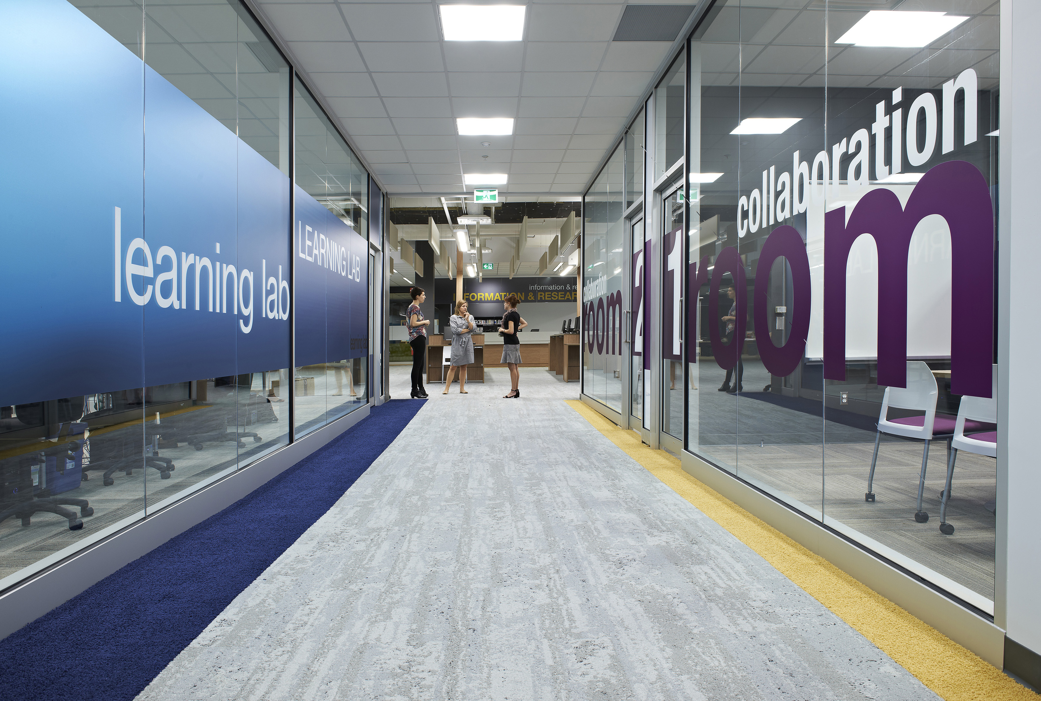 Conference room glass with purple film.jpg