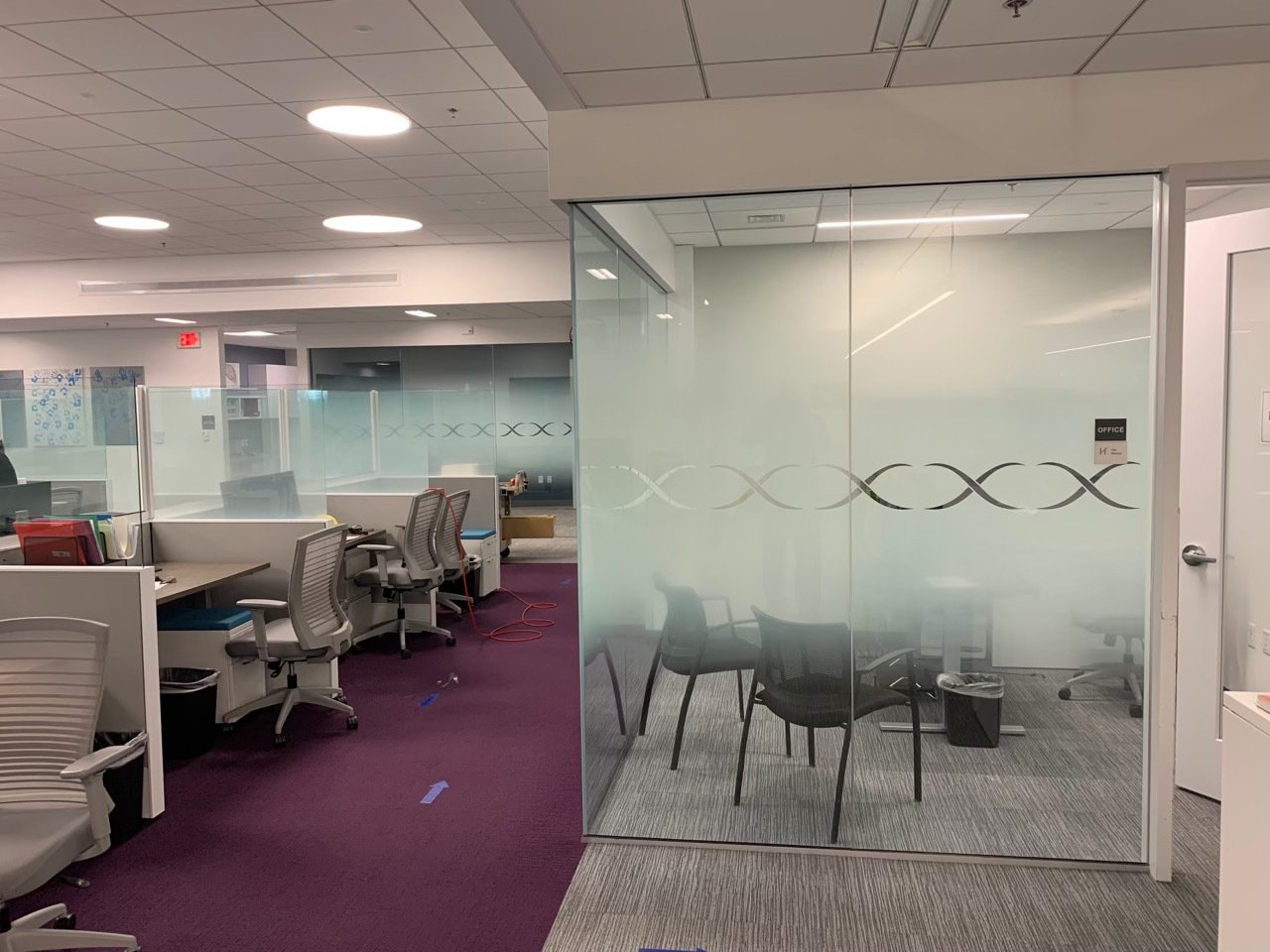 Boston Biotech Firm Uses Window Graphics For Privacy and Décor