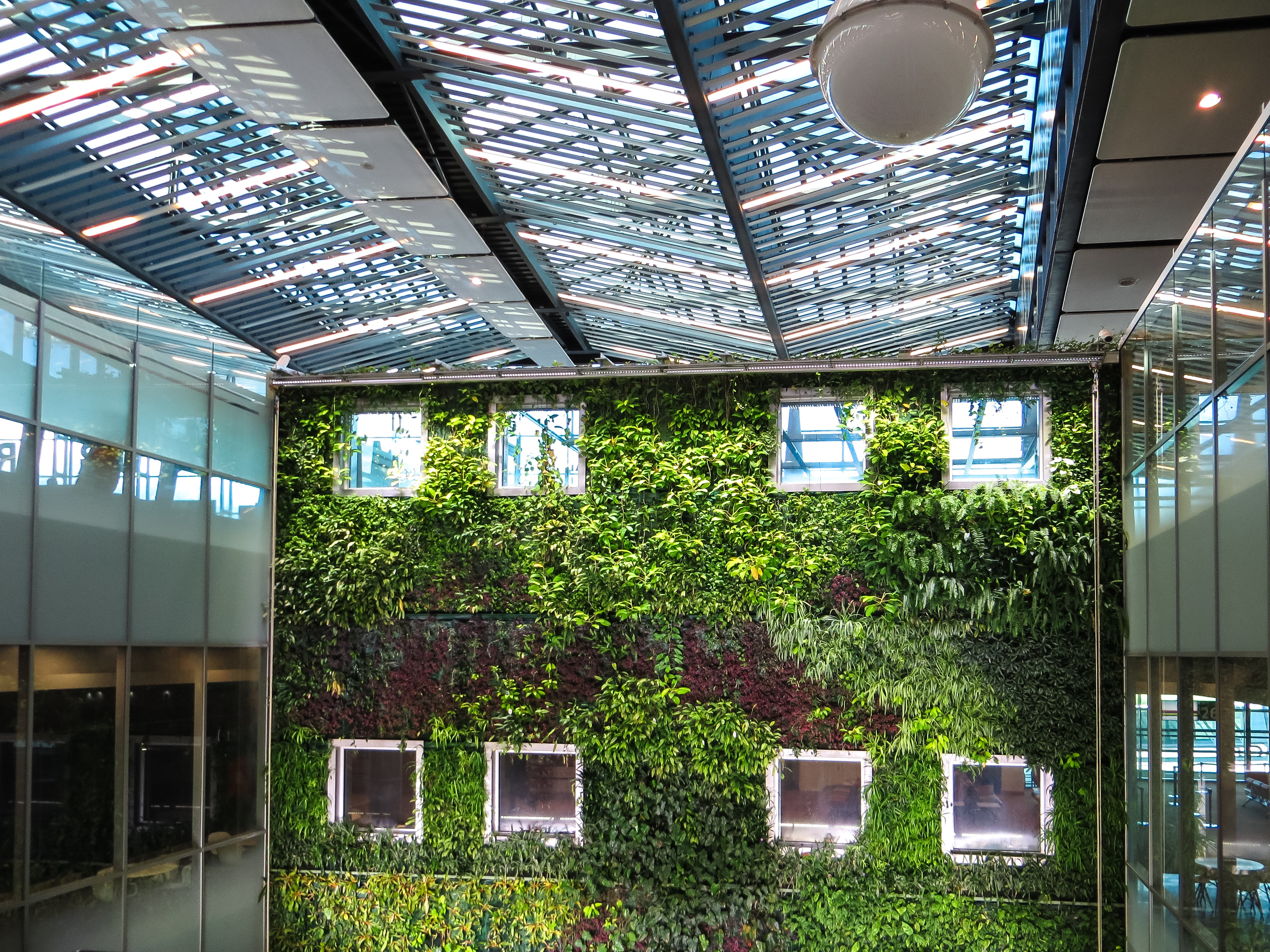 A green building covered in ivy inside a glass office building